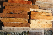 brown mallee small.jpg