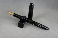 DSC05997 (900x600).jpg