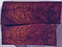 purple gidgee flame.jpg