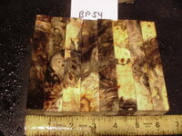 bp54a.JPG bp54a.JPG