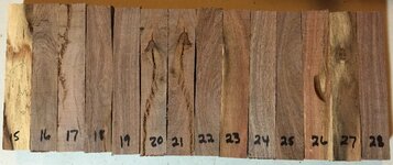 Mesquite 15-28.JPG
