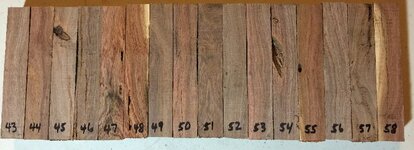 Mesquite 43-58.JPG
