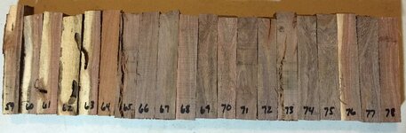 Mesquite 59-78.JPG