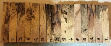 Pecan 31-45.JPG