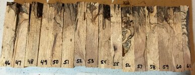 Pecan 46-61.JPG