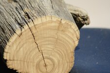 wood bird balloon 040.jpg