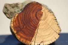 wood bird balloon 043.jpg