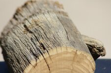 wood bird balloon 042.jpg