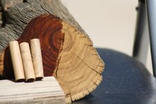 wood bird balloon 050.jpg