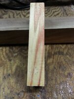 box elder.jpg
