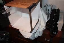 IMG_5665.jpg