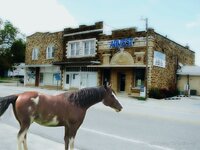1horse.jpg