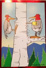 IMG_0499 (372x540).jpg