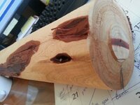 Ceder Log 1of3.jpg