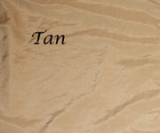 Color Tan.jpg
