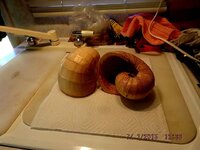 2 Nautilus shells-1 (640x480).jpg