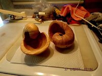 Nautilus shells-2 (640x480).jpg