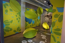 rsz_dsc00827.jpg