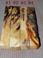DSCN1605.jpg