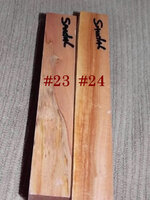 DSCN1608.jpg