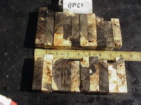 bp67a.JPG bp67a.JPG