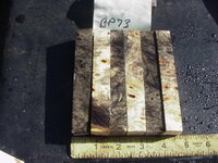bp73a.JPG bp73a.JPG