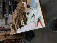 20150710_211243.jpg