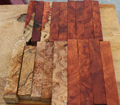 amboyna large group1.jpg