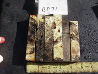 bp71a.JPG bp71a.JPG