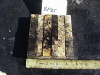 bp85a.JPG bp85a.JPG
