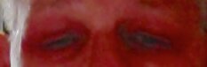 cocobolo eyes.jpg