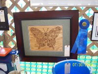 butterfly winner.jpg