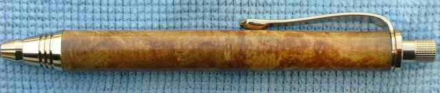 Olive root 22_(1).JPG