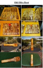 Olive root group pics.jpg