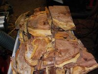 timber preparation 082_(1).jpg