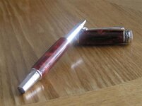 P1010061 (Large).jpg