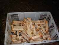 timber preparation 168_(1).jpg