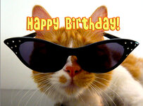 Jeff-Happy-Birthday-cat.jpg