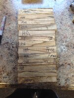 IMG_2173 (Medium).JPG