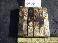 bp78a.JPG bp78a.JPG