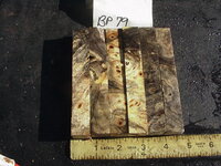 bp79a.JPG bp79a.JPG
