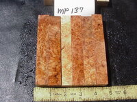 mp137a.JPG mp137a.JPG