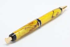 SE pen 19b.jpg