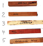 Blanks1-5WithNames.jpg