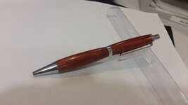 orange pen.jpg