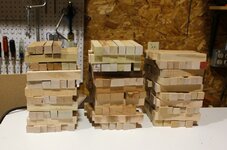 IMG_2300.jpg