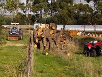 Radiata pine works at storage paddock 001_(1).jpg