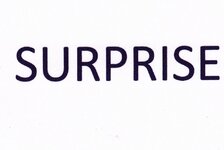 surprise 9-17-2015 8-40-59 PM 1682x1127.jpg