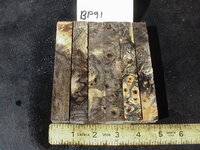 bp91a.JPG bp91a.JPG
