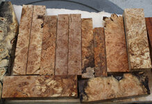 ap maple burl 1.jpg